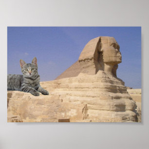 Katze und Sphinx. Poster