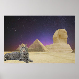 Katze und Sphinx. Poster