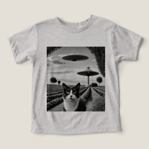 Katze und UFO