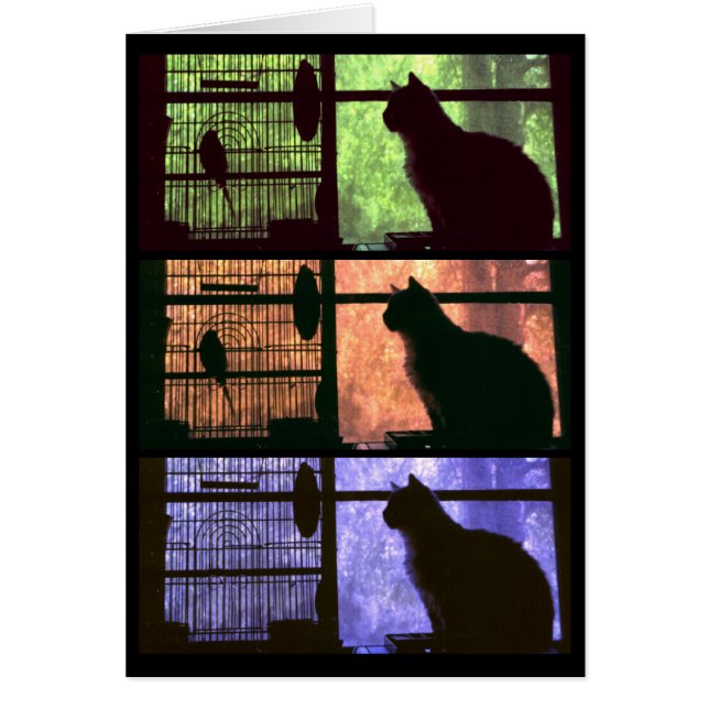 Katze und Vögel - Karte (Vorne)