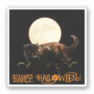 Katze und Vollmond Aufkleber