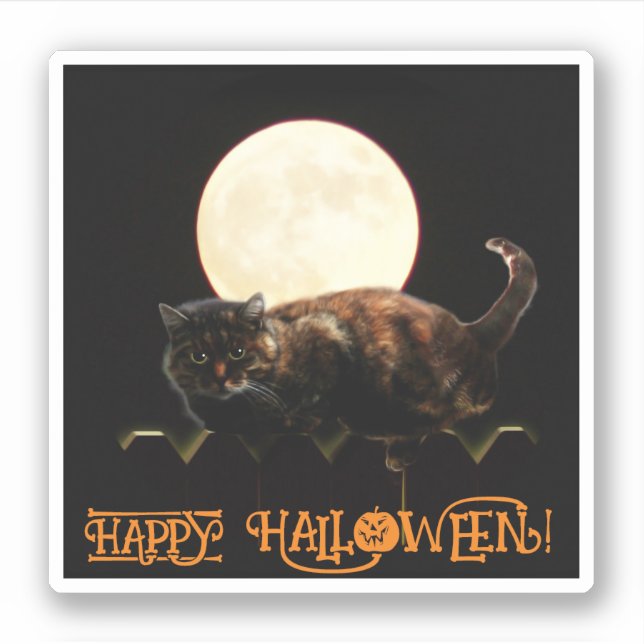 Katze und Vollmond Aufkleber (Vorderseite)