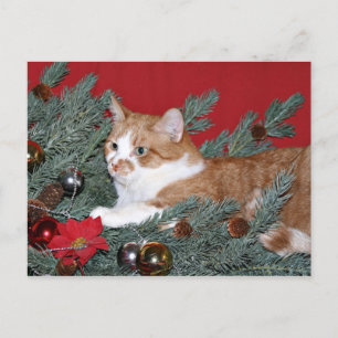 Katze und Weihnachtsbaum Feiertagspostkarte