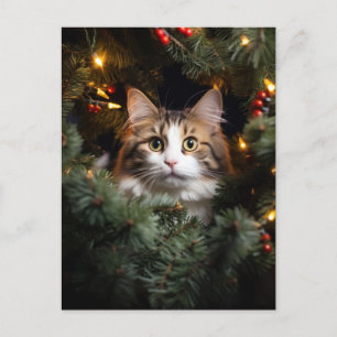 Katze und Weihnachtsbaum Postkarte