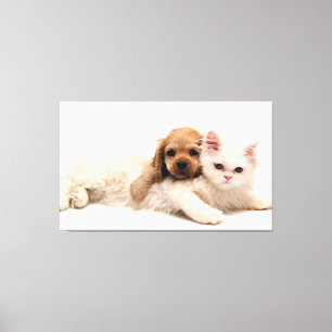 Katze und Welpe Leinwanddruck