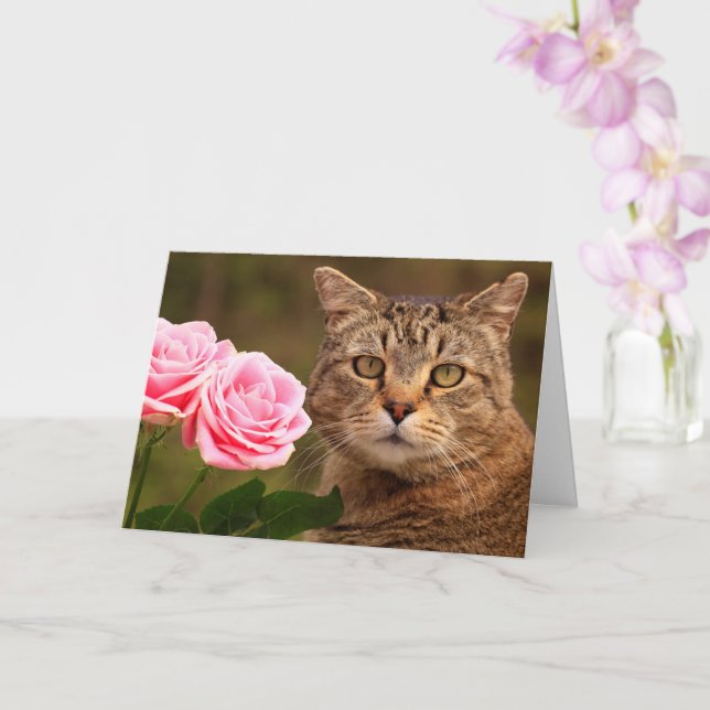 Katze und zwei Rose zum Geburtstag Karte (Orchidee)