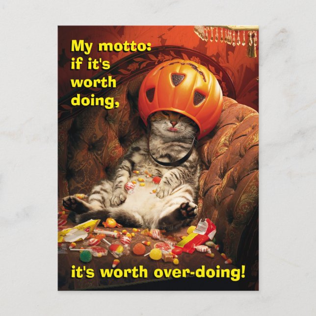 Katze unter dem Candy Ecket Einladungspostkarte (Vorderseite)