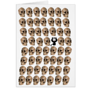 Katze unter den Schädeln