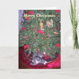 Katze unter die Baum-Weihnachtskarte Feiertagskarte