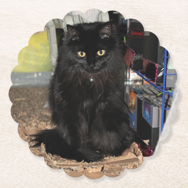 Katze Untersetzer (Vorderseite)