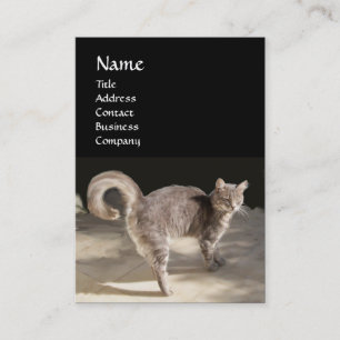 KATZE VISITENKARTE