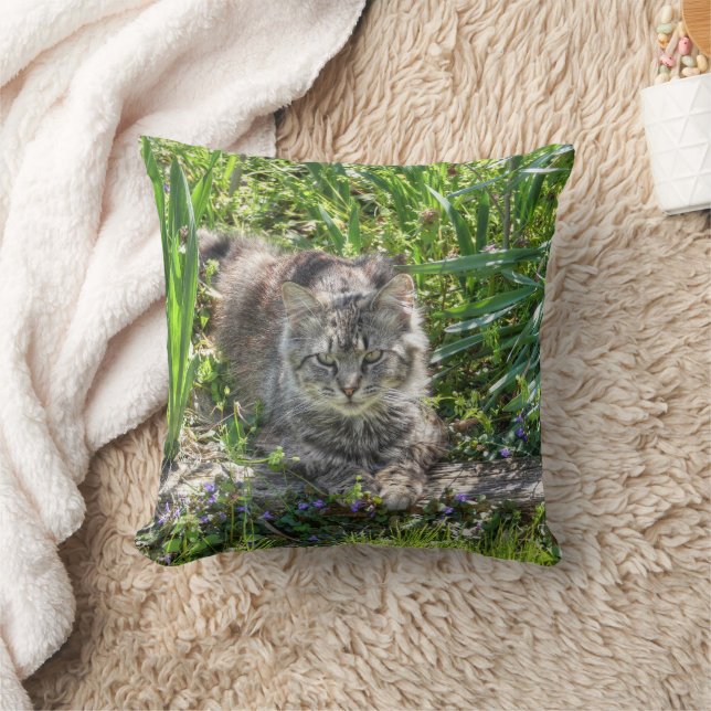 Katze während Eclipse Kissen (Decke)