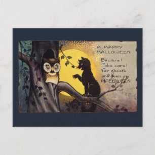 Katze warnt Eule Vintage Halloween-Postkarte Postkarte