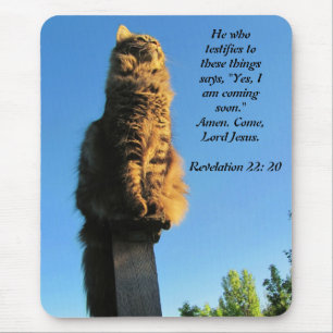 Katze, wartend auf Jesus Mousepad