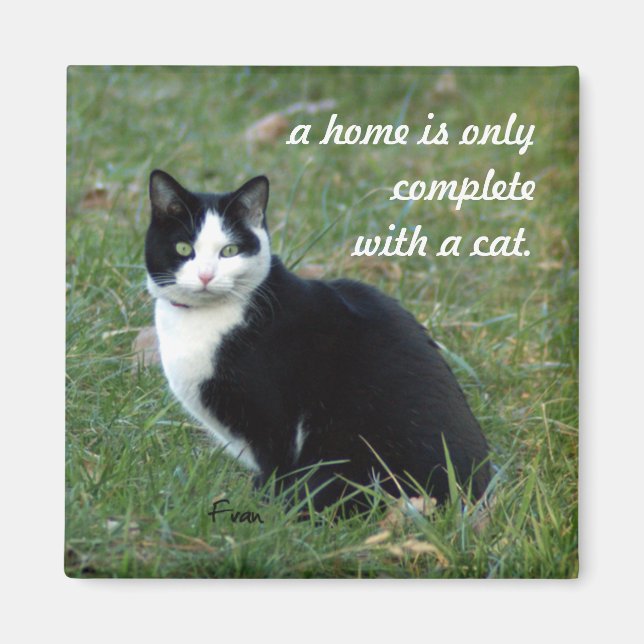 Katze Weisheit Magnet (Vorne)