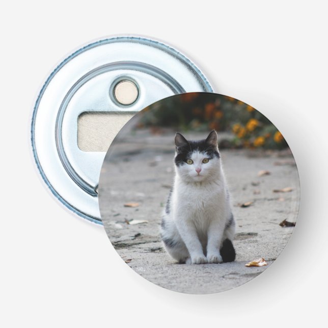 Katze, weiß, Haustier Flaschenöffner (Vorderseite)