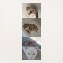 Katze Yogamatte