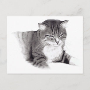 Katze: Zeichnend Stift: Originalität Postkarte