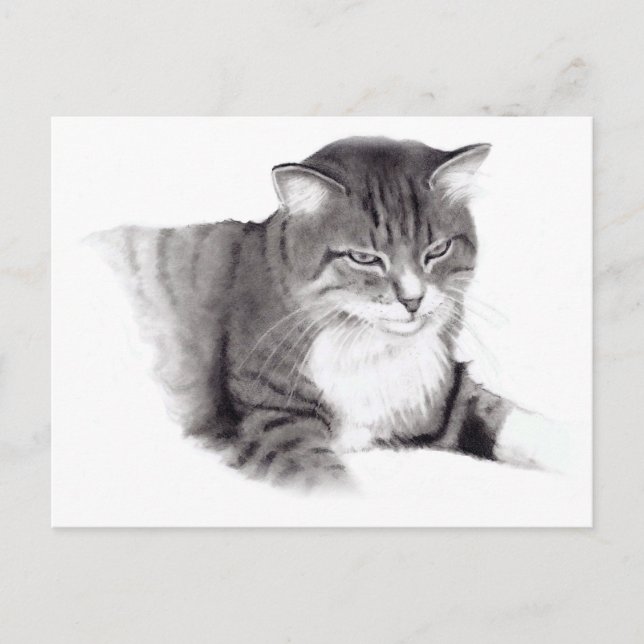 Katze: Zeichnend Stift: Originalität Postkarte (Vorderseite)