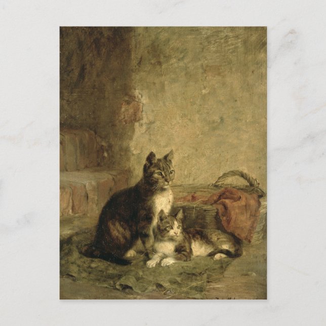 Katzen, 1883 postkarte (Vorderseite)