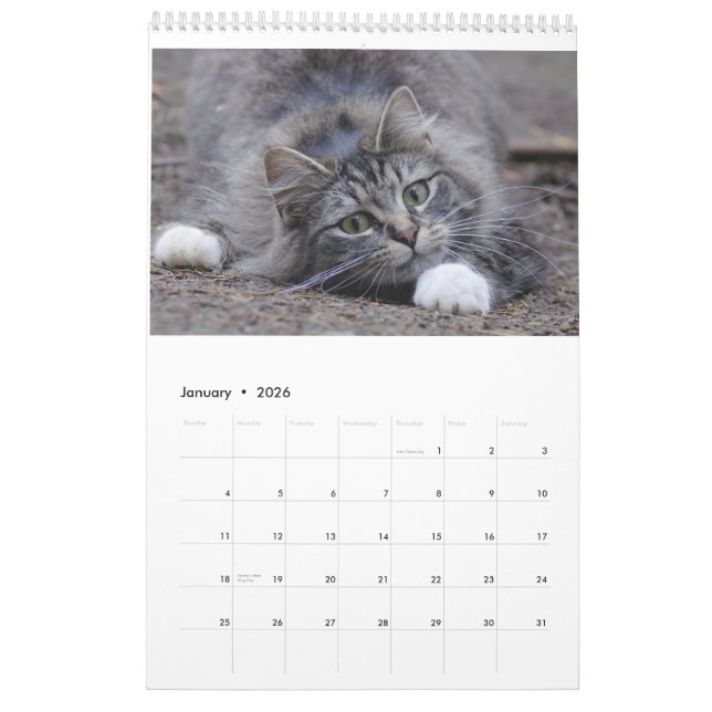 Katzen 2014 - Ein Kalender für Katzen-Liebhaber (Jan 2026)