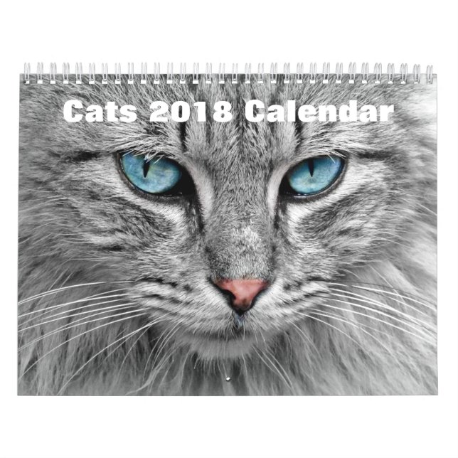 Katzen 2017 kalender (Titelbild)