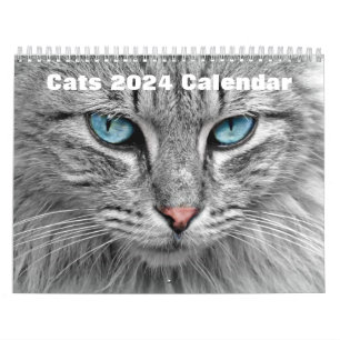 Katzen 2024 kalender