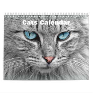 Katzen 2025 kalender
