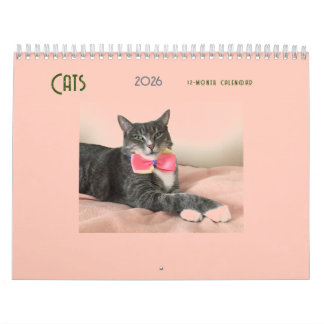 Katzen 2025 Kalender