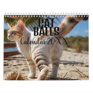 Katzen 2025 Sonniger Kalender