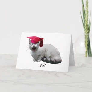 Katzen-Abschluss-Karte Karte