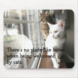 Katzen am Fenster Mousepad