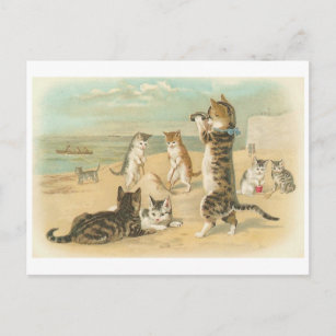 "Katzen am Strand" Vintag Postkarte