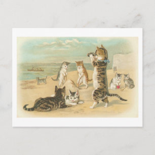 "Katzen am Strand" Vintage-Postkarte Postkarte