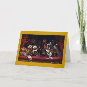 Katzen am Theater für Weihnachten