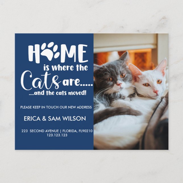 Katzen Änderung der Adresse, die wir umgezogen hab Ankündigungspostkarte (Vorderseite)