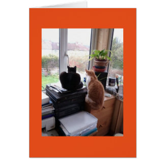 Katzen-Ansicht von meiner Büro-Karte rot/Grün