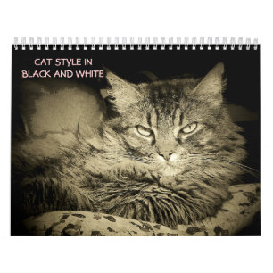 Katzen-Art DJ in Schwarzweiss Kalender