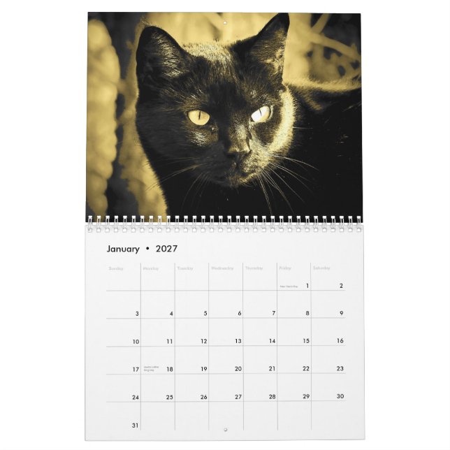 Katzen-Art DJ in Schwarzweiss Kalender (Jan 2027)