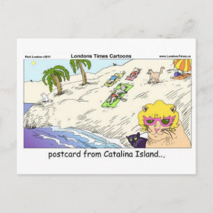 Katzen auf der Insel Catalina Funny Gifts Karten u