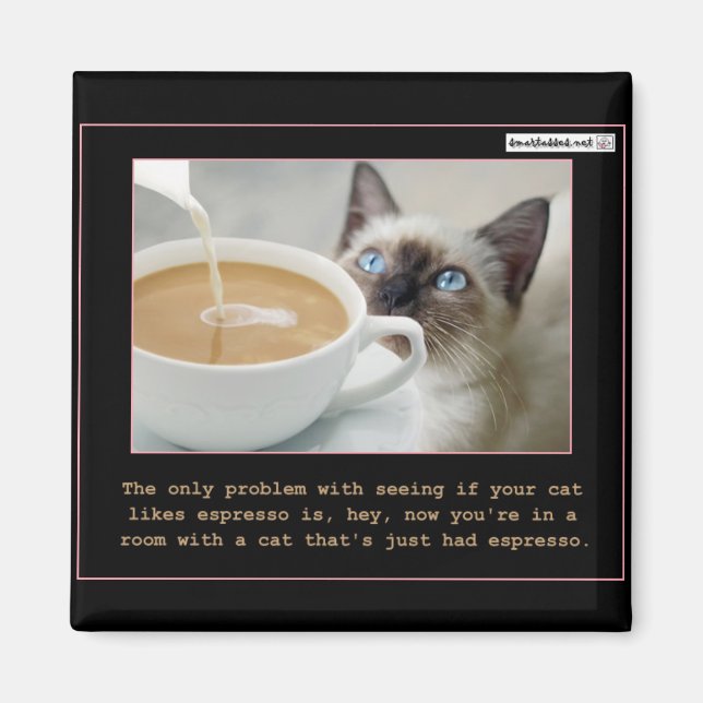 Katzen auf Espresso Magnet (Vorne)