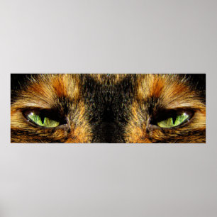 Katzen Augen Poster