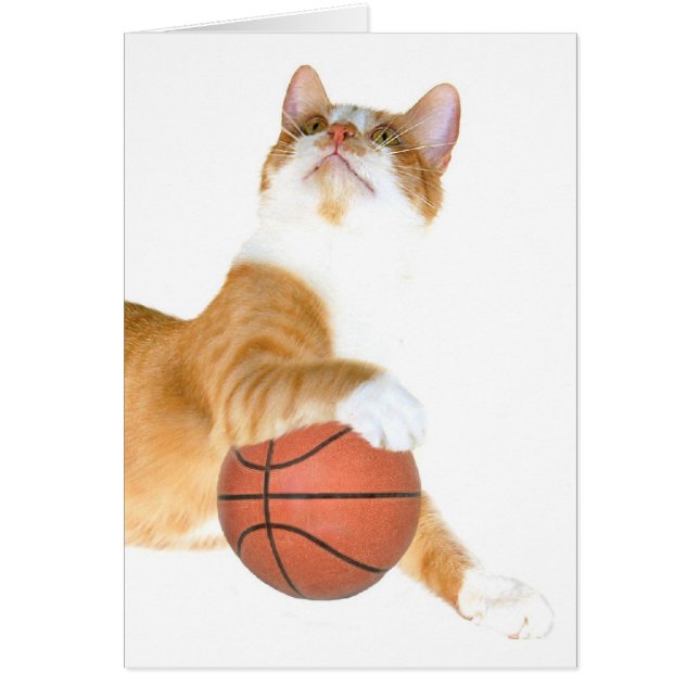Katzen-Basketball (Vorne)