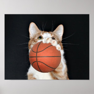 Katzen-Basketball Poster