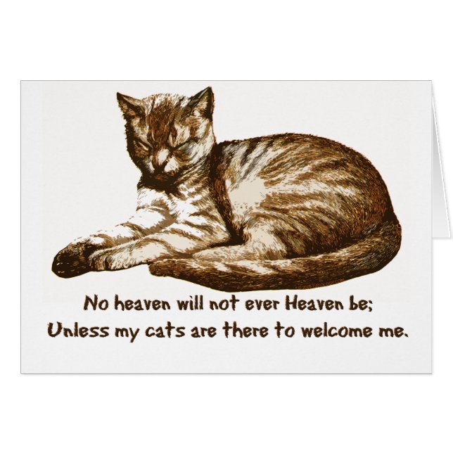 Katzen begrüßen mich (Vorderseite (Horizontal))