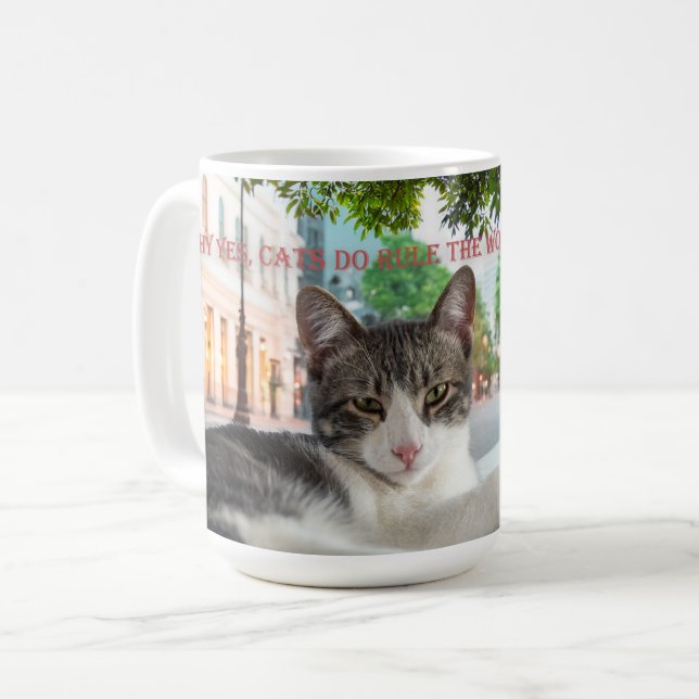 Katzen beherrschen die Welt Kaffeetasse (Vorderseite Links)