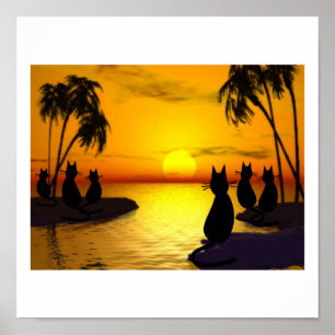 Katzen bei Sonnenuntergang Poster
