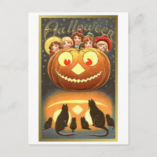 Katzen beobachten Kinder und Kürbis VIntage Hallow Postkarte