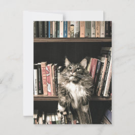 Katzen-Bookcase-Darstellung Postkarte