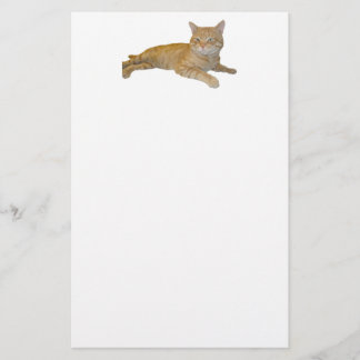 Katzen-Briefpapier Briefpapier
